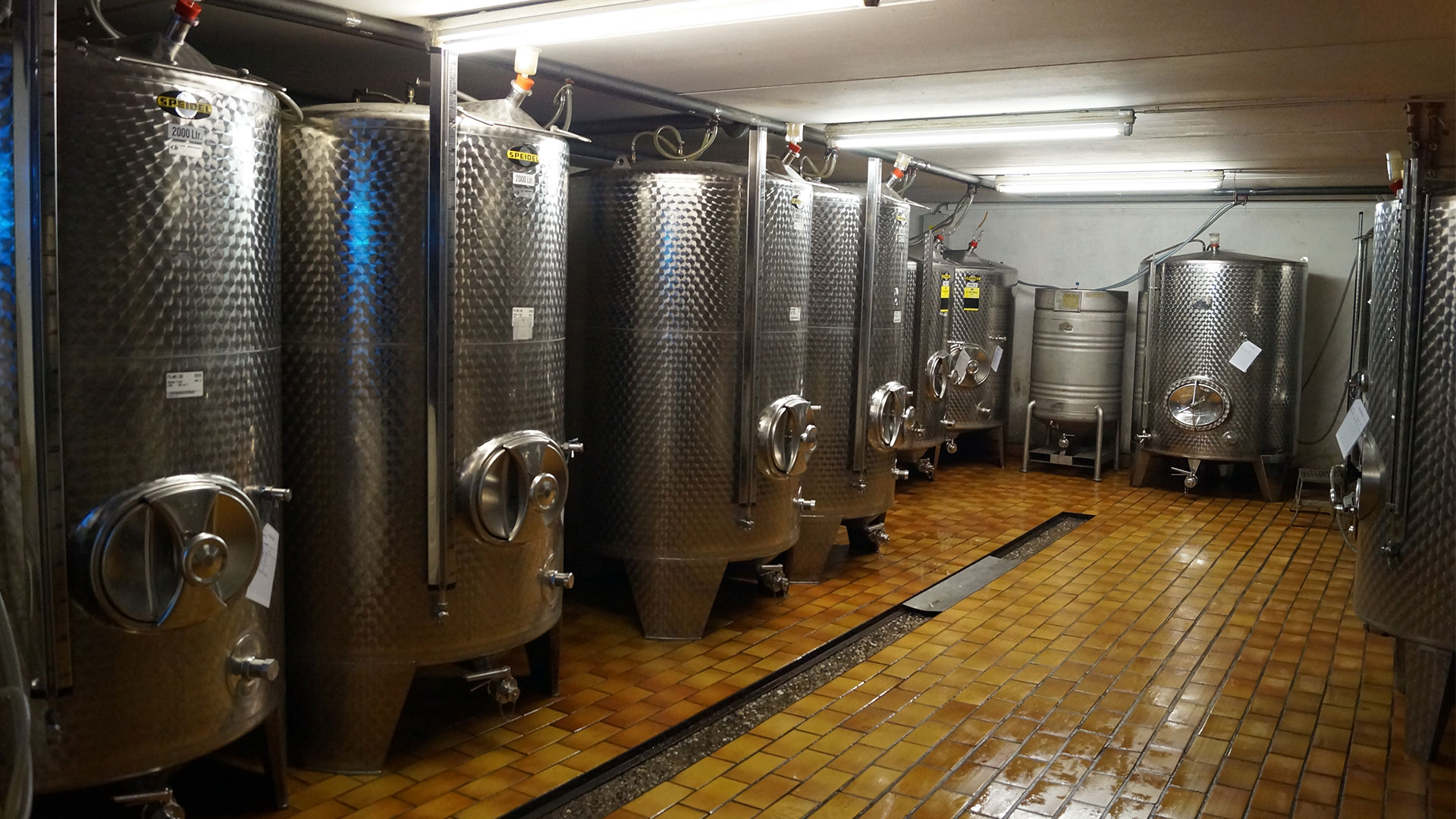 Weingut Kaufmann-Nowack - Das Ferienweingut in Kröv an der Mosel